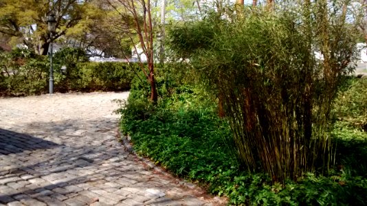 IMG 20150505 151515856