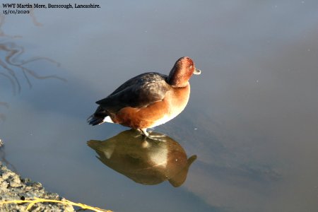 Relax and Reflect photo