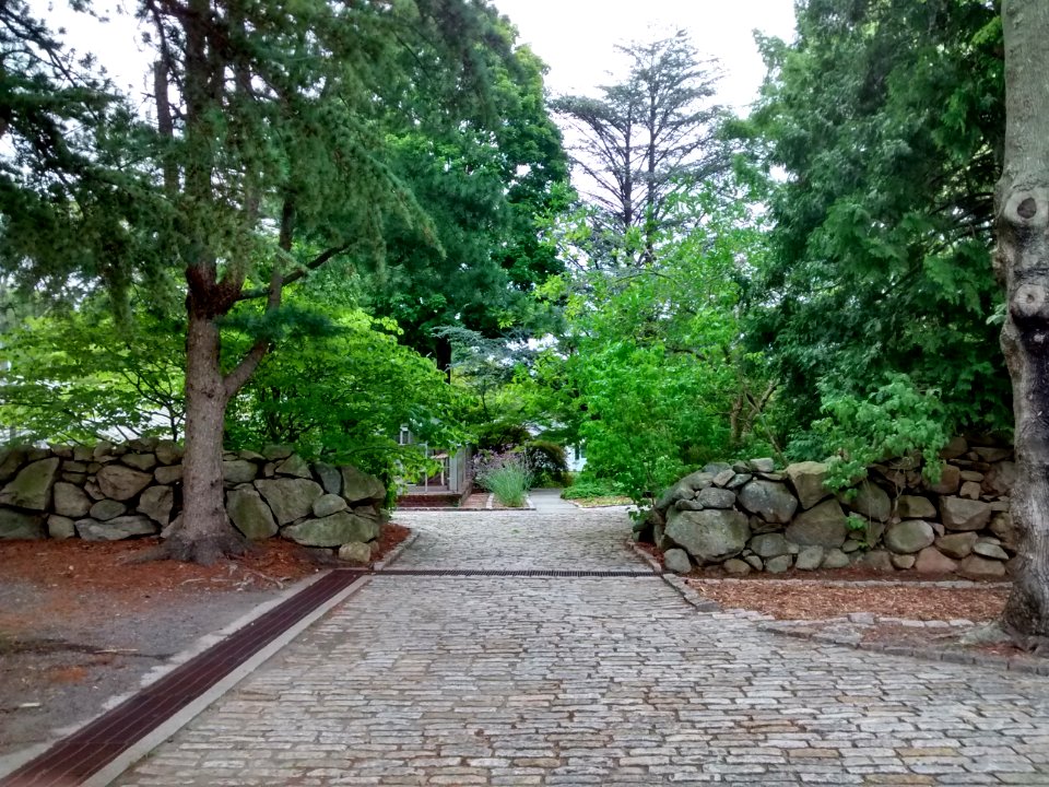IMG 20150821 075218316 HDR