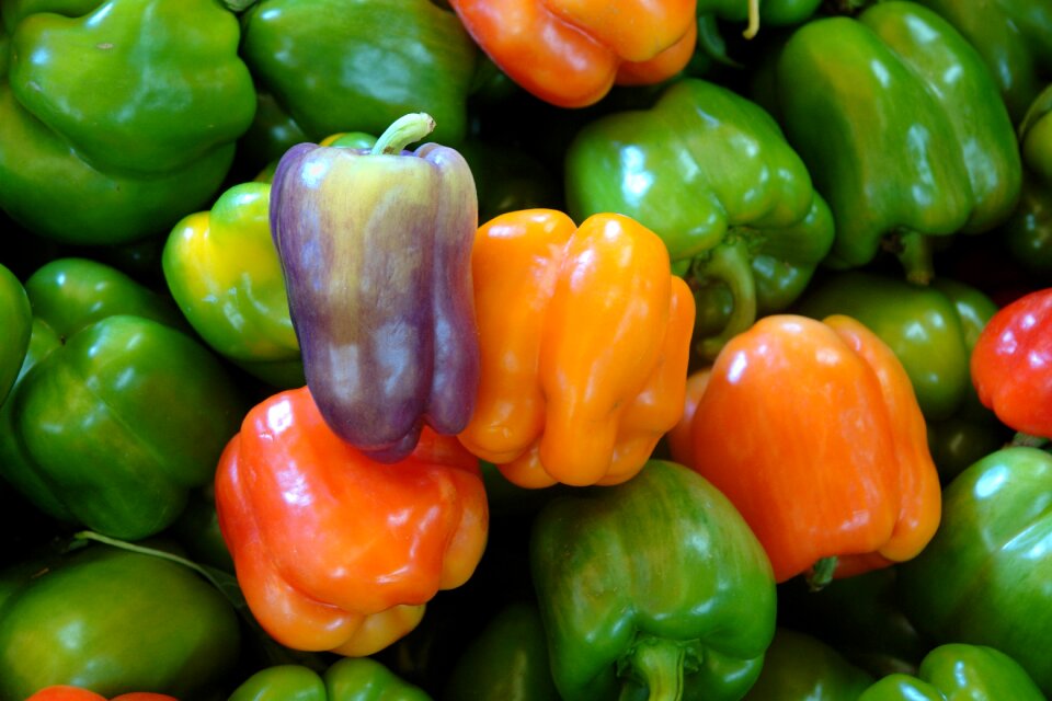 Food vegetable fresh