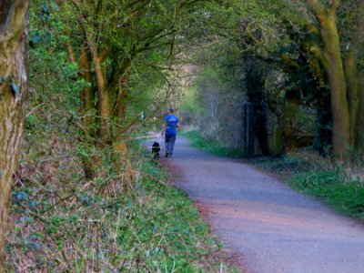 Wheelock Rail Trail