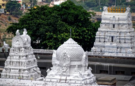 Shri Kalahsti Temple photo