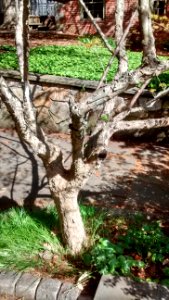 IMG 20150511 092707051 HDR