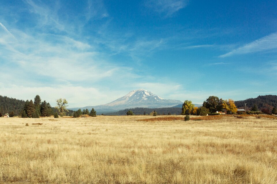 Distant ladscape grass