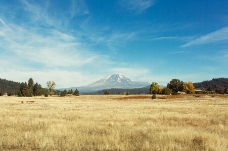 Distant ladscape grass