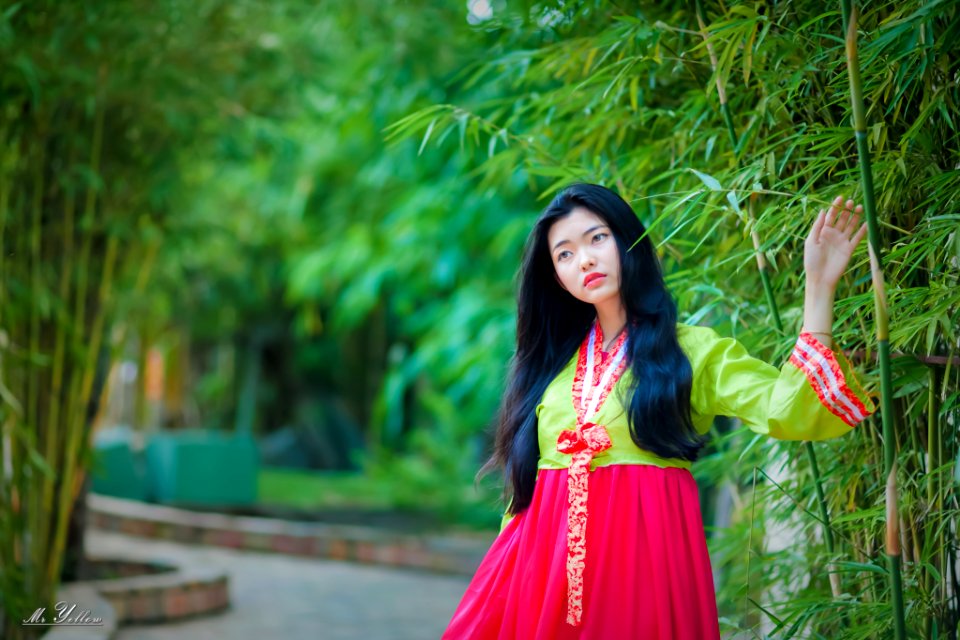 Thiếu Lan Hanbook 100f2
