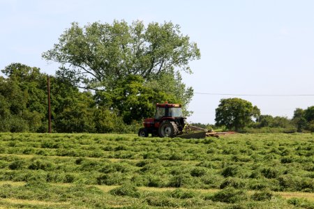 Claas Action photo