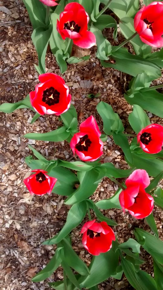 IMG 20150505 100737553