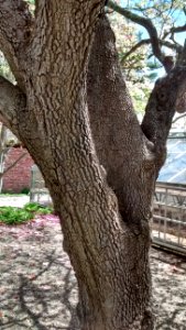 IMG 20150511 120414172 HDR