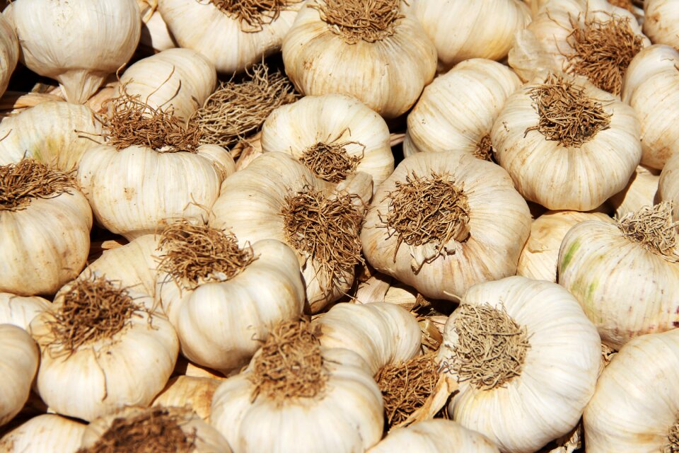 Healthy eat spice
