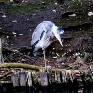 "Please Mr Shutterbug,