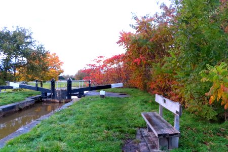 Lock 59 photo