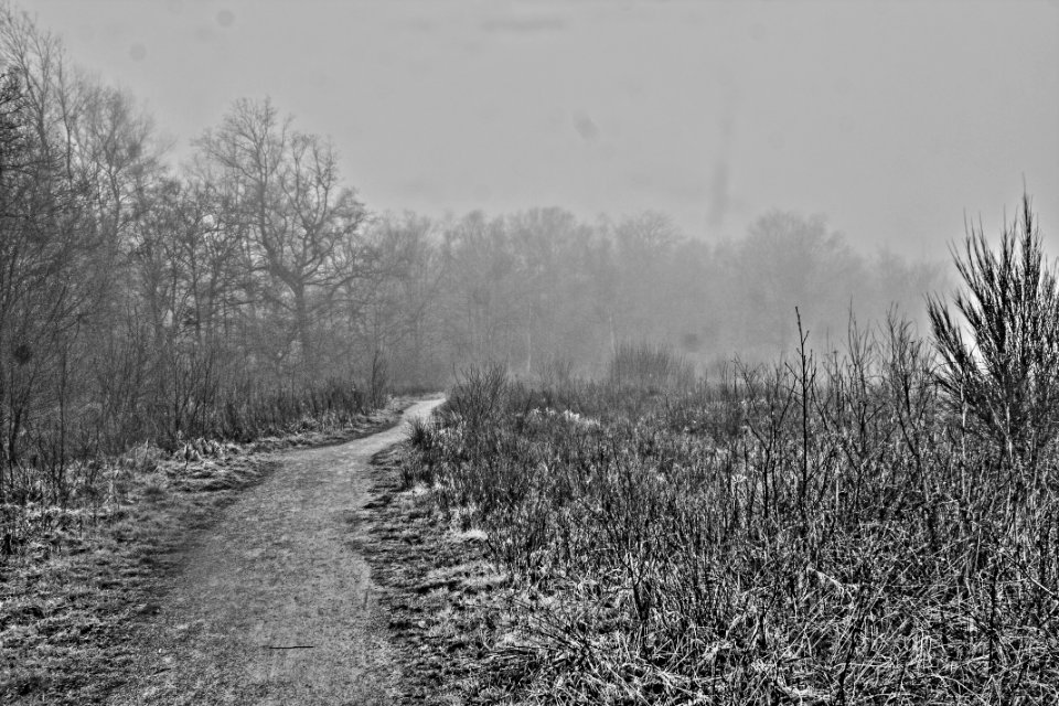 En noir et blanc ? inquiétant