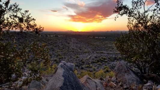 Arizona Sunset photo