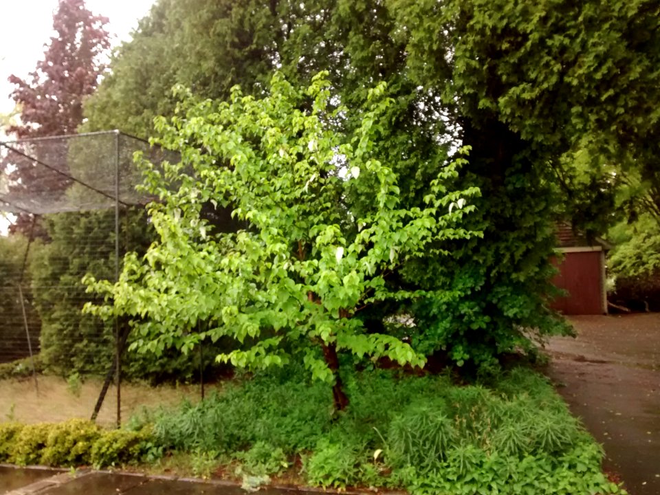 IMG 20150519 152142015
