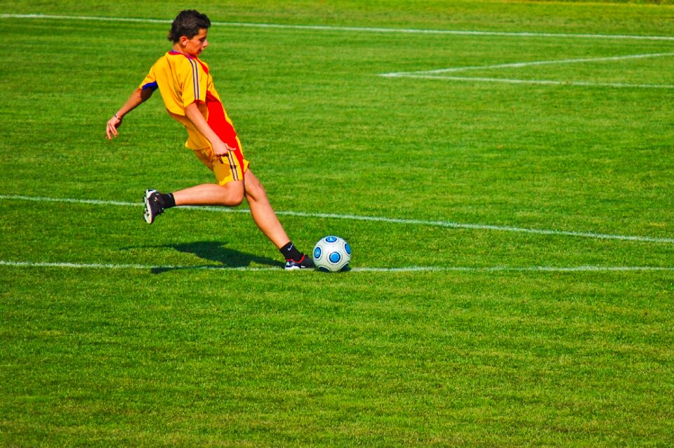 Sports romania turf