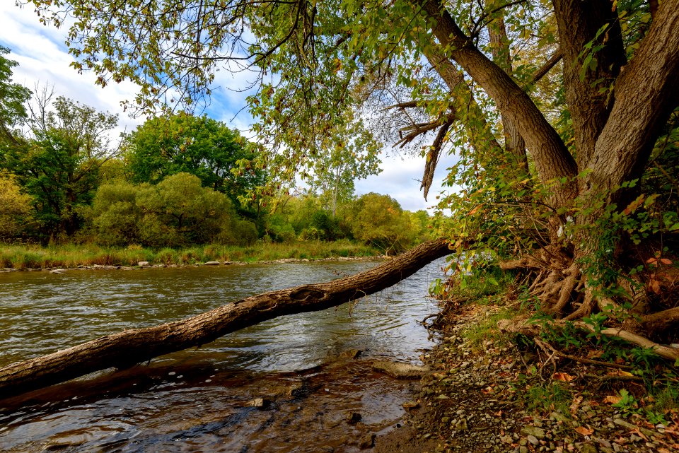 The Credit River, Streetsville
