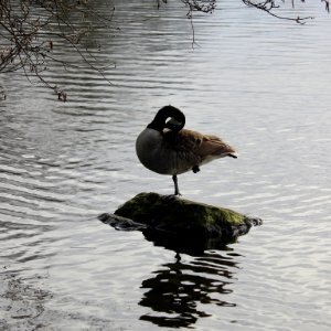 Daftest Pose of the Day