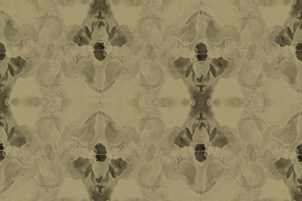 Free Image - Monochromatic Bees