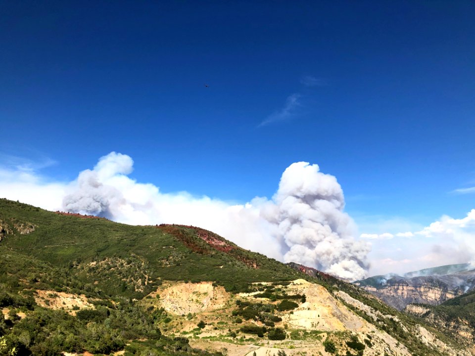 Operations August 13