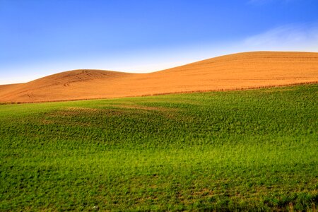 Cereals landscape fields