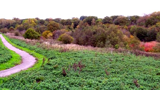 Autumnal Borrow Pit Meadows photo