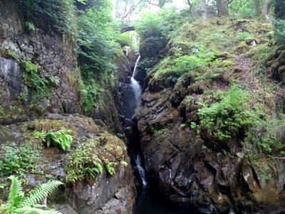 Aira Force photo