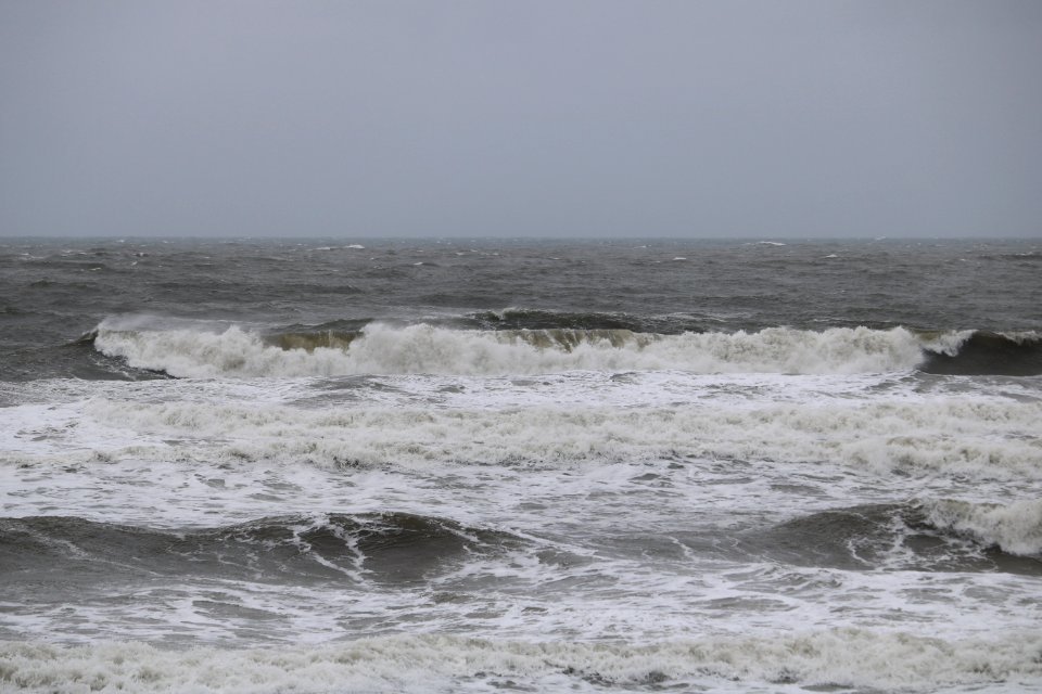 Scarborough.  11/06/2019