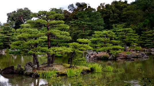 Japanese Garden, Kyoto