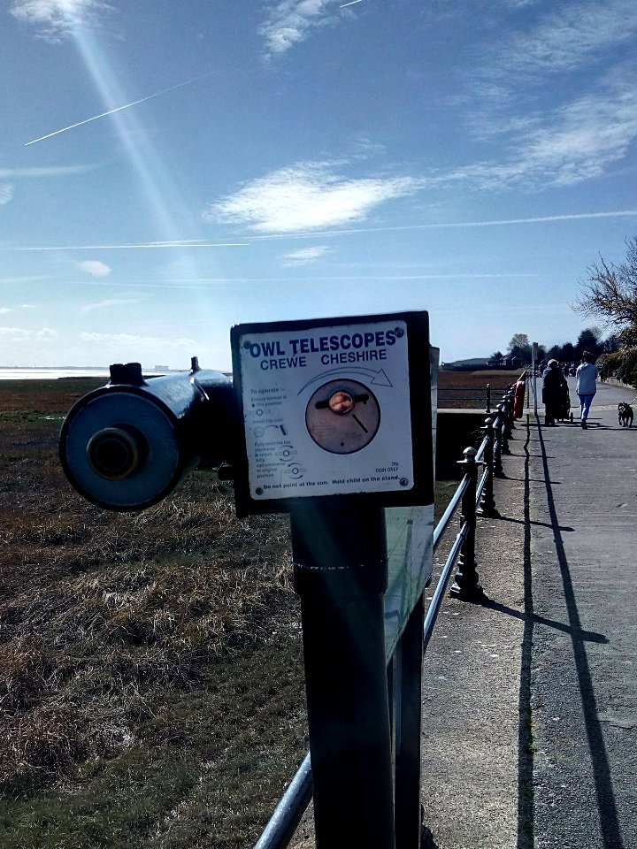 Owl Telescope? photo