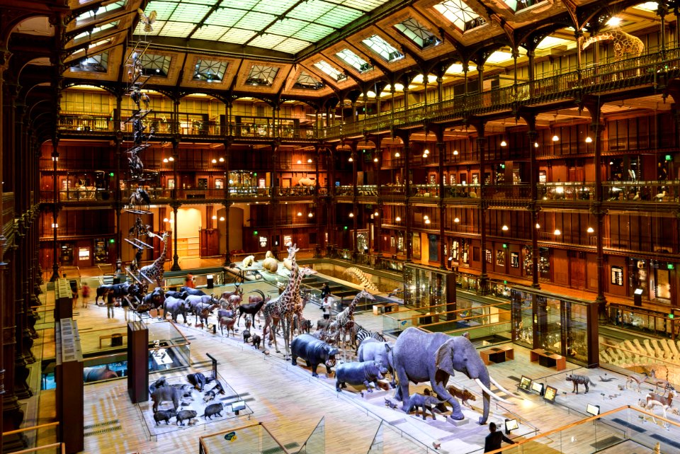 Great Gallery of Evolution
