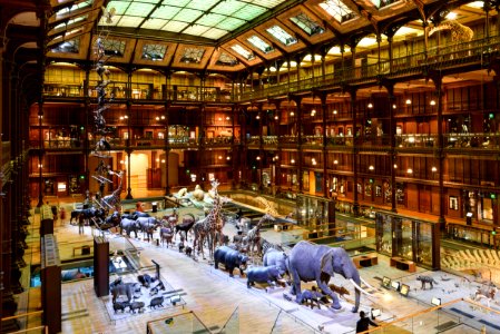 Great Gallery of Evolution