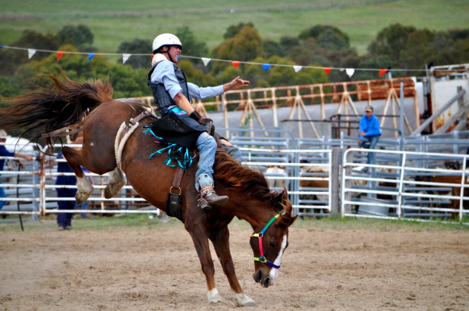 Bungendore Rodeo 2015