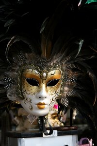 Face venezia artists