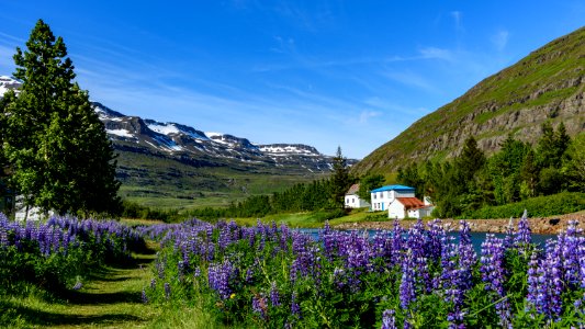 Seyðisfjörður, Iceland photo