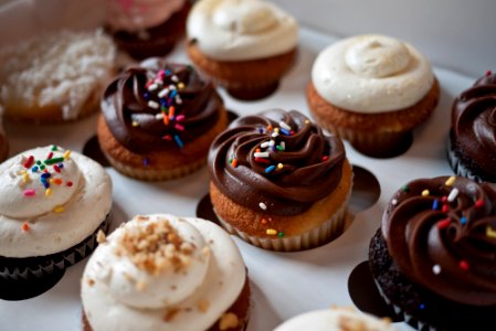 cupcakes in a box photo