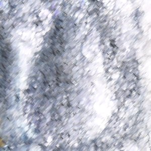 Free Texture - Spanish Moss