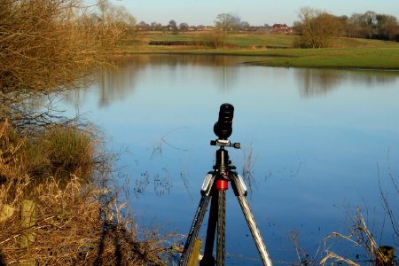 Sandbach Flashes SSSI