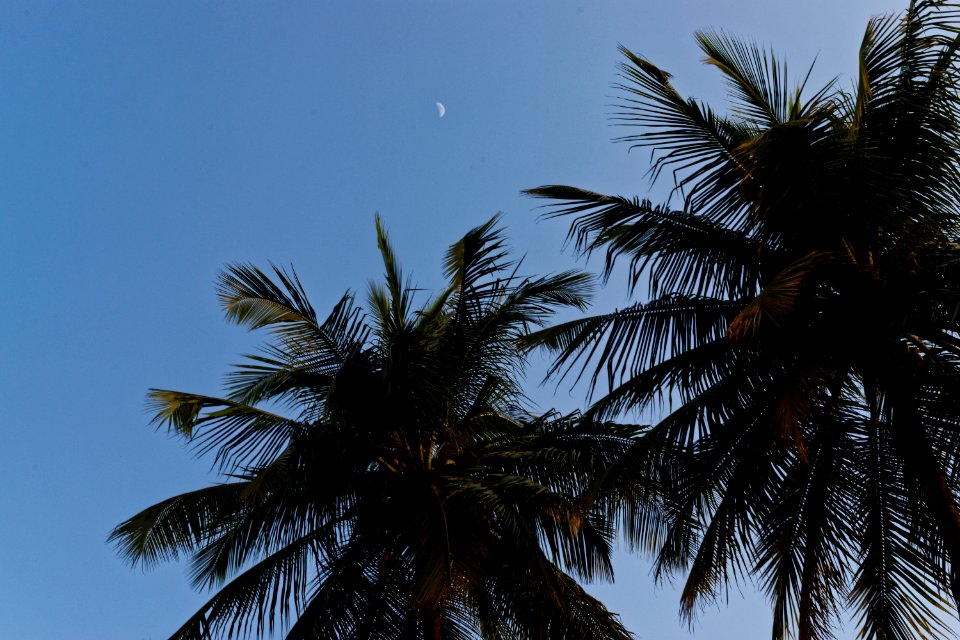 7th Moon