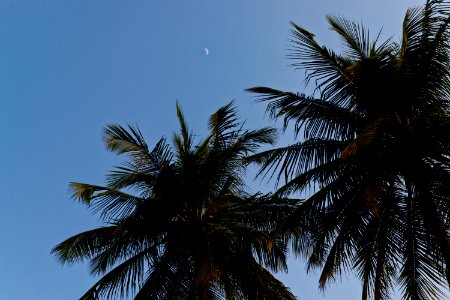 7th Moon