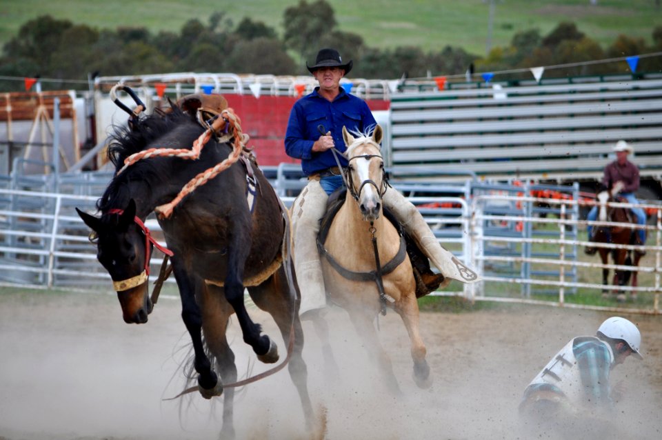 Bungendore Rodeo 2015