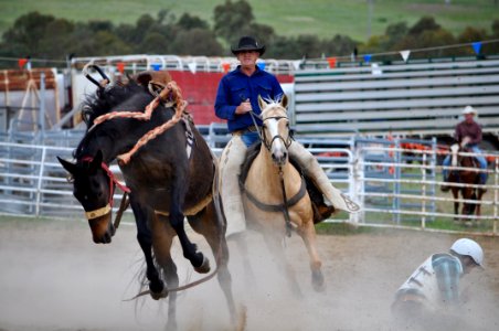 Bungendore Rodeo 2015
