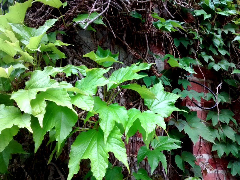 IMG 20150519 164228672