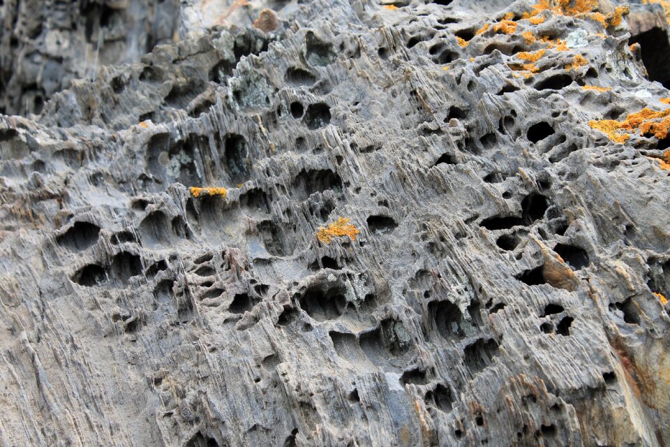 Cap creus nature