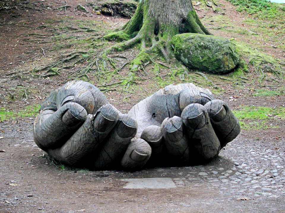 Entrust at  Brandlehow Park