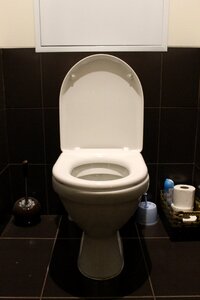 Wc toilet room brown toilet photo