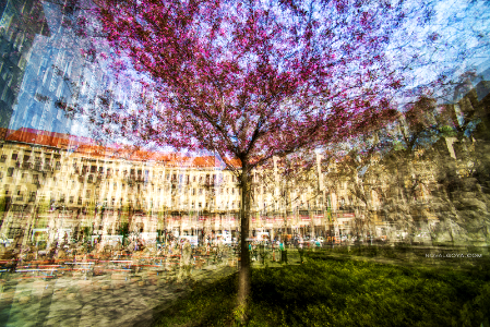 Downtown Spring