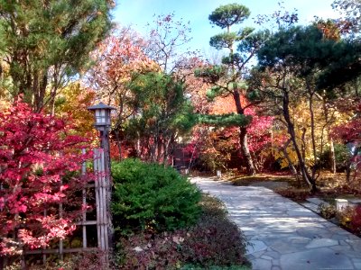 IMG 20151026 105643629 HDR
