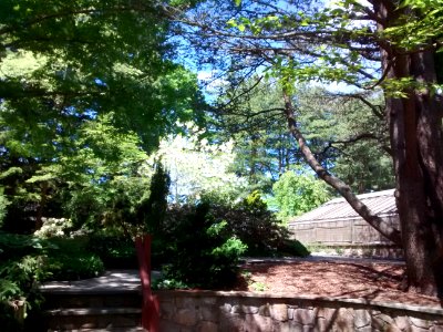 IMG 20150605 110621551