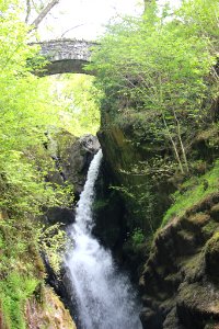 Aira Force 02 photo